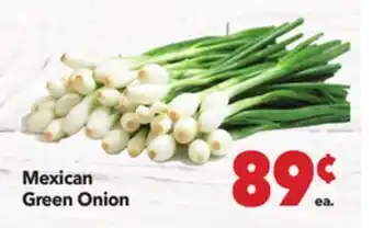Vallarta Supermarkets Mexican Green Onion offer