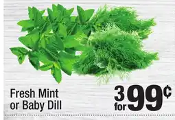 Super King Markets Fresh Mint or Baby Dill offer