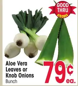 Jewel-Osco Aloe Vera Leaves Knob Onions offer