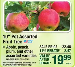 Menards 10 Pot Assorted Fruit Tree offer