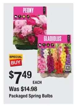 The Home Depot Packaged Spring Bulbs offer