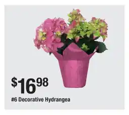 The Home Depot 6 Decorative Hydrangea offer