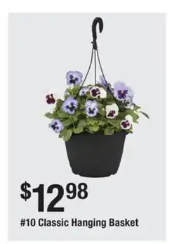 The Home Depot 10 Classic Hanging Basket offer