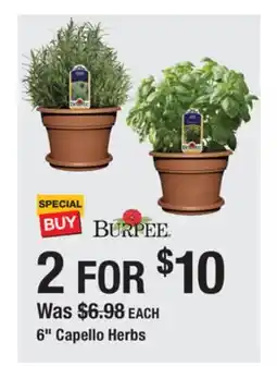 The Home Depot BURPEE 6 Capello Herbs offer