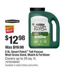 The Home Depot PENNINGTON 5 lb. Smart Patch Tall Fescue West Grass Seed, Mulch & Fertilizer offer