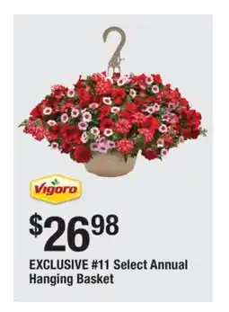 The Home Depot VIGORO #11 Select Annual Hanging Basket offer