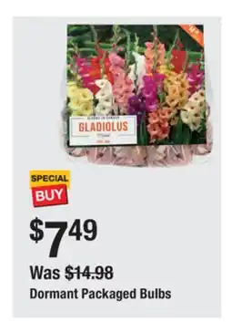 The Home Depot Dormant Packaged Bulbs offer