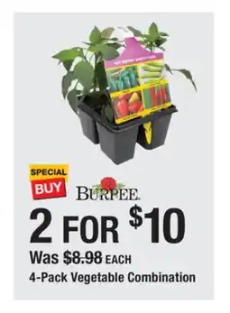 The Home Depot 4-Pack Vegetable Combination offer
