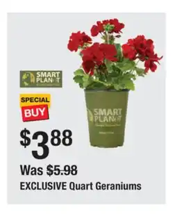 The Home Depot Quart Geraniums offer