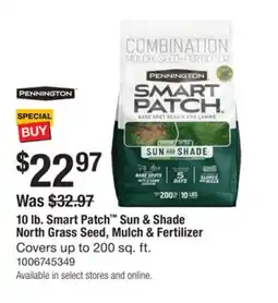 The Home Depot PENNINGTON 10 lb. Smart Patch Sun & Shade North Grass Seed, Mulch & Fertilizer offer