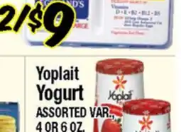Western Beef Yoplait Yogurt offer