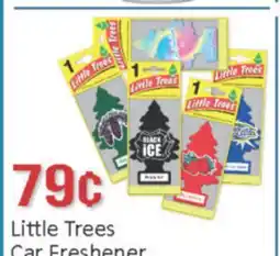 General Discount Little Trees Car Freshener offer