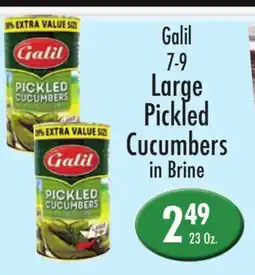 Garden Fresh Market Galil 7-9 Large Pickled Cucumbers in Brine offer