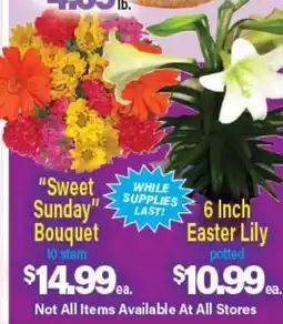 Angelo Caputo's Fresh Market Sweet Sunday Bouquet, 10 stem, 6 Inch Easter Lily offer