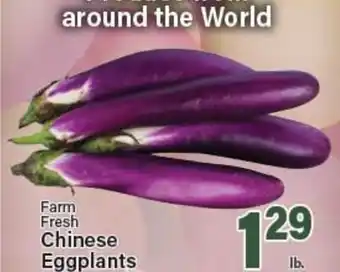 Angelo Caputo's Fresh Market Farm Fresh Chinese Eggplants offer