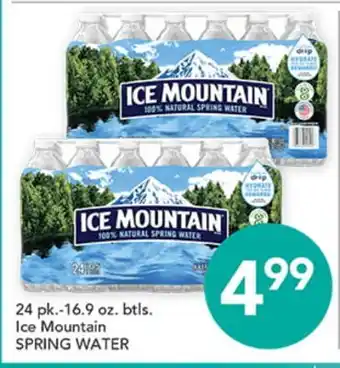 Pete's Fresh Market Ice Mountain SPRING WATER offer