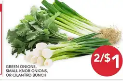 Pete's Fresh Market GREEN ONIONS, SMALL KNOB ONIONS, OR CILANTRO BUNCH offer