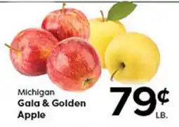 Rich's Fresh Market Michigan Gala & Golden Apple offer
