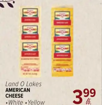 Cermak Fresh Market Land O Lakes AMERICAN CHEESE offer