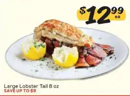 Winn Dixie Large Lobster Tail 8 oz offer