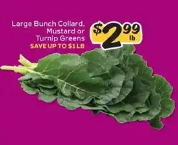 Winn Dixie Large Bunch Collard, Mustard or Turnip Greens offer