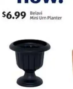 Aldi Belavi Mini Urn Planter offer