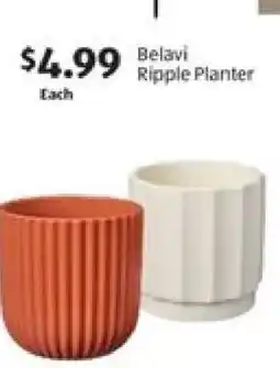 Aldi Belavi Ripple Planter offer