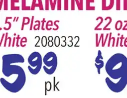Restaurant Depot MELAMINE DINNERWARE offer
