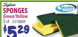 Restaurant Depot Skyline Sponges offer