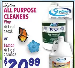 Restaurant Depot Skyline ALL PURPOSE CLEANERS offer