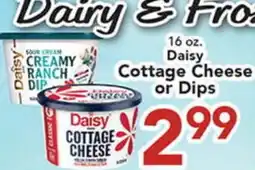 Eurofresh Market 16 oz. Daisy Cottage Cheese or Dips offer