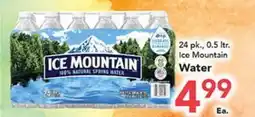 Eurofresh Market Ice Mountain Water offer