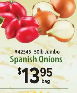 Restaurant Depot 50lb Jumbo Spanish Onions offer
