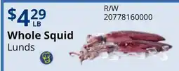 Restaurant Depot Whole Squid offer