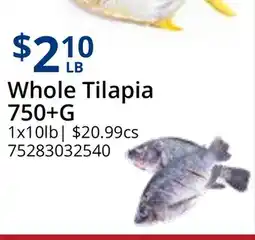 Restaurant Depot Whole Tilapia 750+G offer