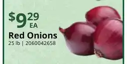 Restaurant Depot Red Onions offer