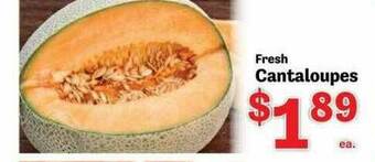 Food Depot Fresh Cantaloupes offer