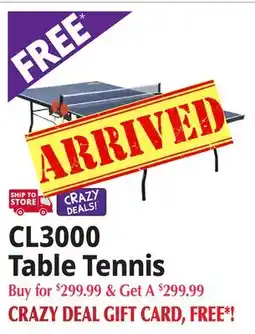 Ocean State Job Lot CL3000 Table Tennis offer