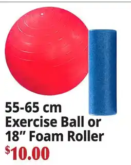 Ocean State Job Lot 55-65 cm Exercise Ball or 18 Foam Roller offer