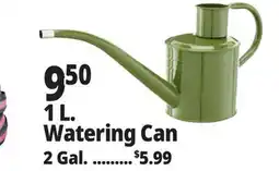 Ocean State Job Lot 1 L. Watering Can offer