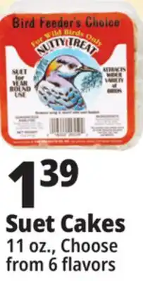 Ocean State Job Lot Suet Cakes offer