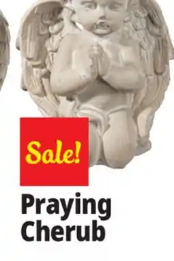 Ocean State Job Lot Praying Cherubim Boy Cement Statue Gray offer
