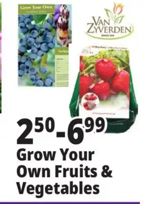 Ocean State Job Lot Grow Your Own Fruits & Vegetables offer