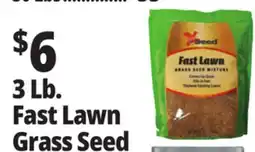 Ocean State Job Lot X-Seed Fast Lawn Grass Seed Mixture 3 lbs offer