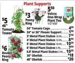 Ocean State Job Lot Plant Supports offer