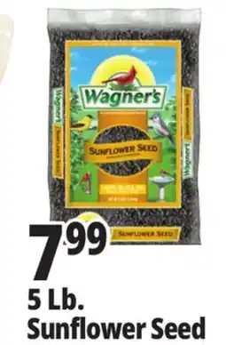 Ocean State Job Lot Wagner's Black Oil Sunflower Seed Wild Bird Food 5 lbs offer