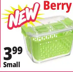 Ocean State Job Lot Berry keepers Small offer