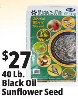 Ocean State Job Lot Black Oil Sunflower Seeds 40 lbs offer