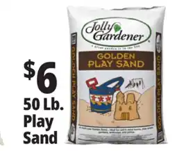 Ocean State Job Lot 50 Lb. Play Sand offer