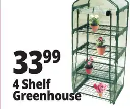 Ocean State Job Lot 4 Shelf Greenhouse offer
